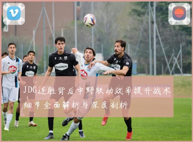 JDG连胜背后中野联动效率提升战术细节全面解析与深度剖析